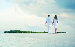 Fully compatible template